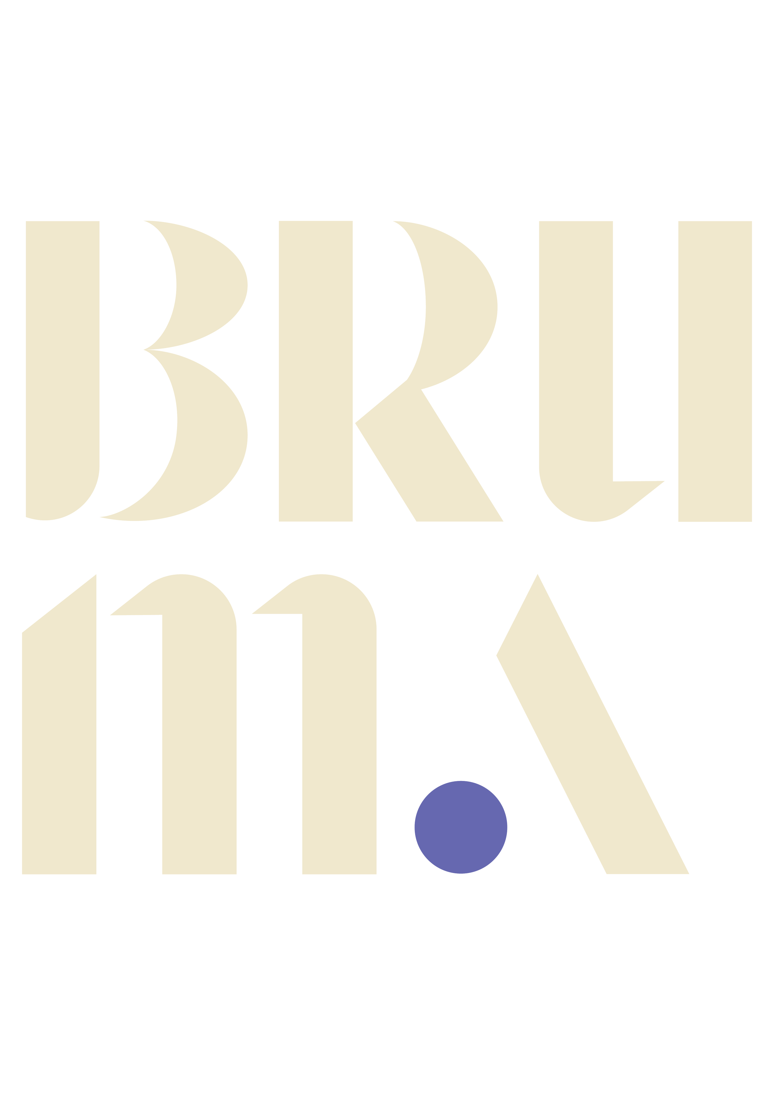 Bruma Visuals